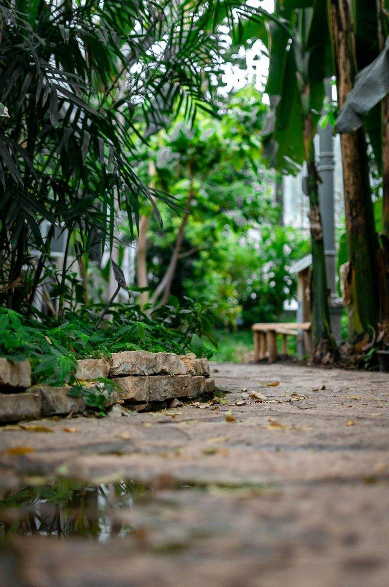 Five Low-Maintenance Plants for Busy Homeowners