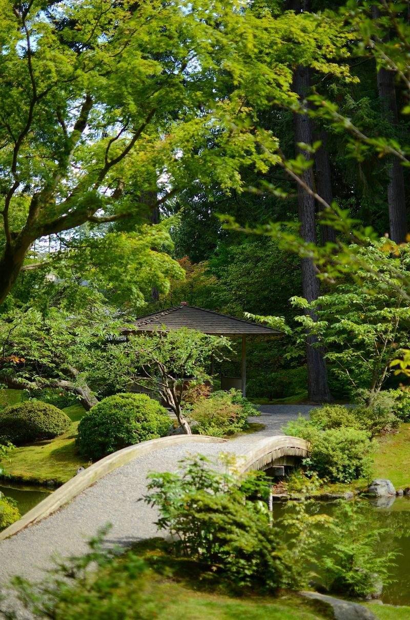 Maple Bloom Garden Studio 8