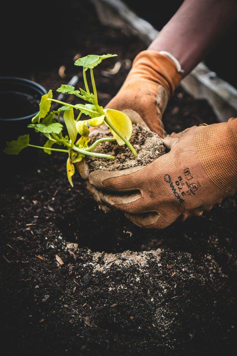 Spring and fall cleanups